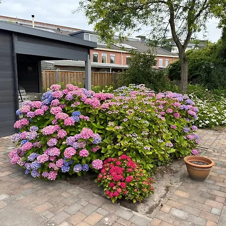 Bed & Breakfast Maison Lelystad Hoevelaken